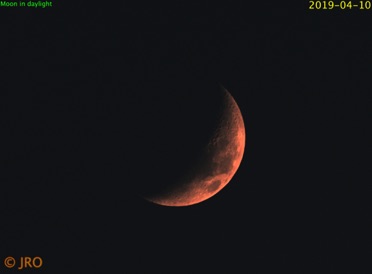 Single frame of the moon taken on 4/10/19 with 0.002 seconds exposure taken in bright daylight. QHY367c/RASA/MX+ Single frame of the moon taken on 4/10/19 with 0.002 seconds exposure taken in bright daylight. QHY367c/RASA/MX+