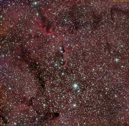 Elephant Trunk nebula 25x5min exposures, OSC, QHY-10 on RASA 8/23/17 and 8/26/17