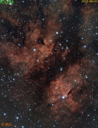 IC1318  06/03/2019  20 x 180sec subs ZWO ASI294MC Pro / 11" RASA / MX+