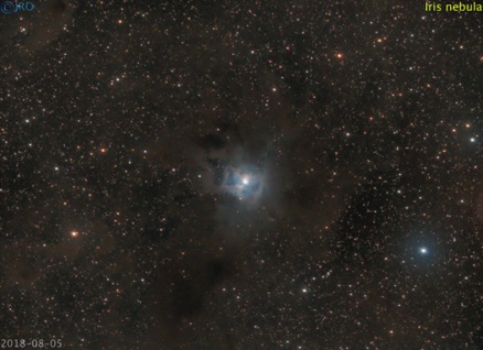 Iris nebula   8/5/2018  36 x 90sec subs  QHY367c / RASA / CGEPro