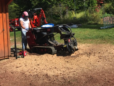 Day 3:  Jeff ground up my stump!